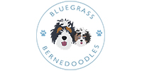 Bluegrass Bernedoodles