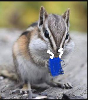 Team Caffienated Chipmunk